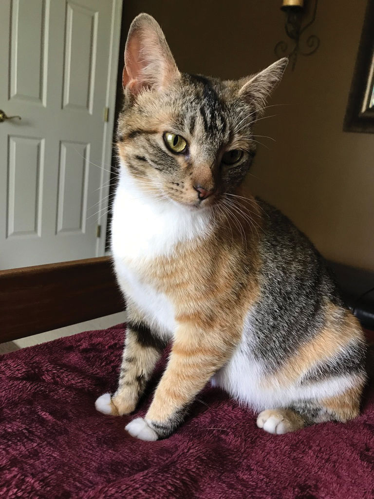Minnie